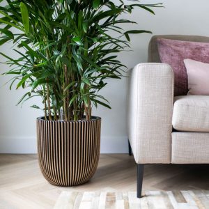 Capi Jardinieră „Groove”, negru și auriu, 35×34 cm